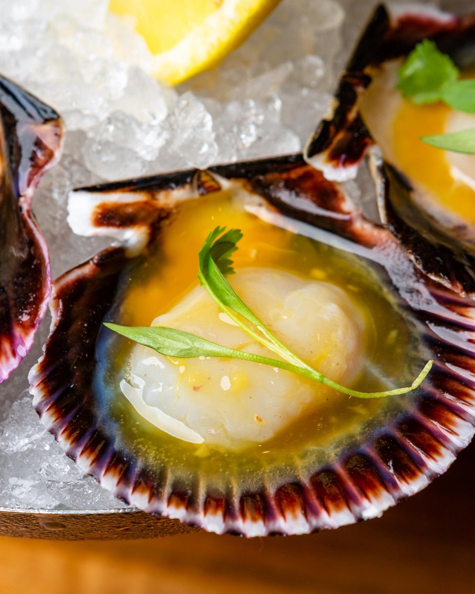 The Strand House tweet media