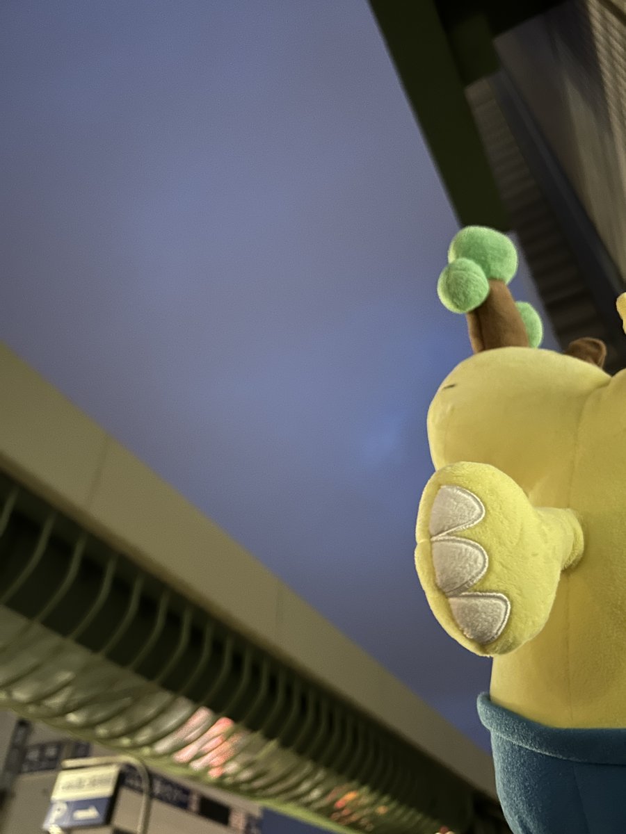 ☀️Good Luck！Morning！🌺 《FM NACK5》 (@GL_Morning) / Posts / X