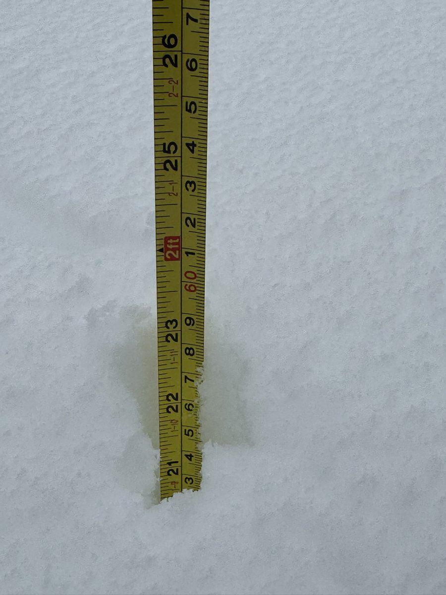 Andrew Gounardes tweet media