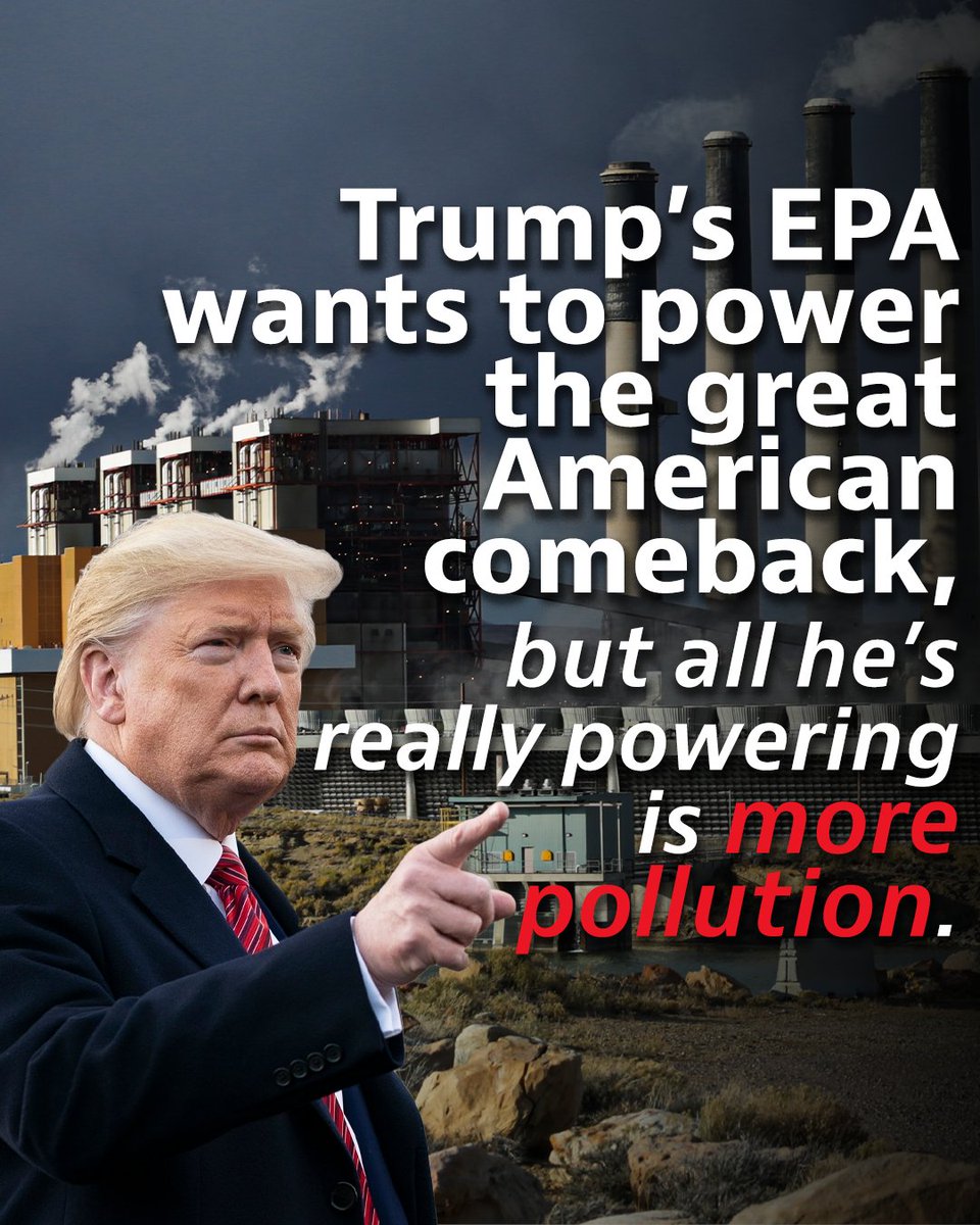 Is it worth it? #ZeldinMustGo