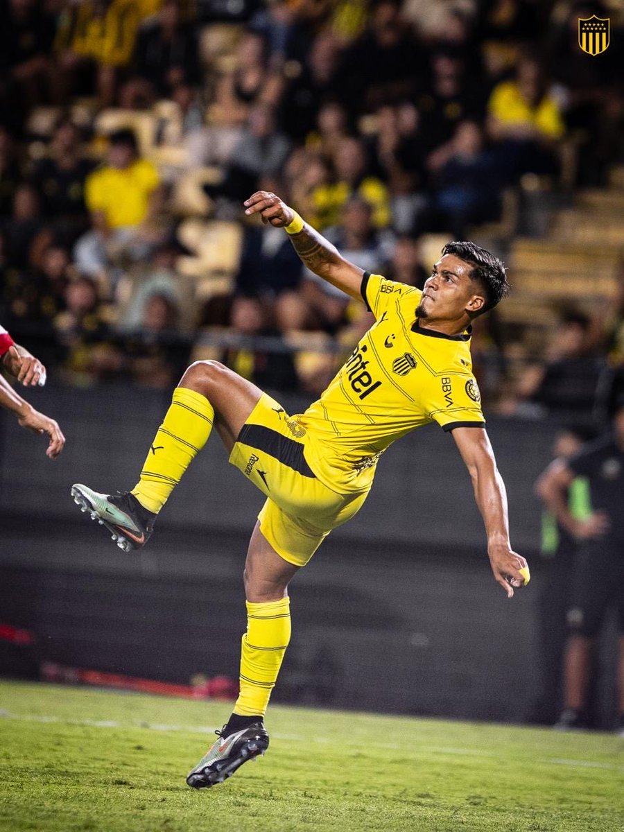 Datos del Club Atlético Peñarol tweet media