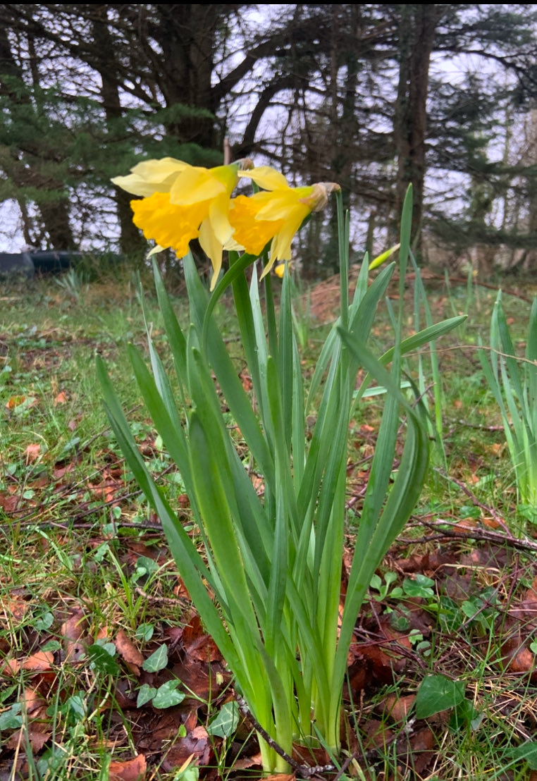 satishkutty's tweet photo. ⁦@johncreedon⁩ warm greetings john - great music ! https://t.co/FR2wPAg6W7