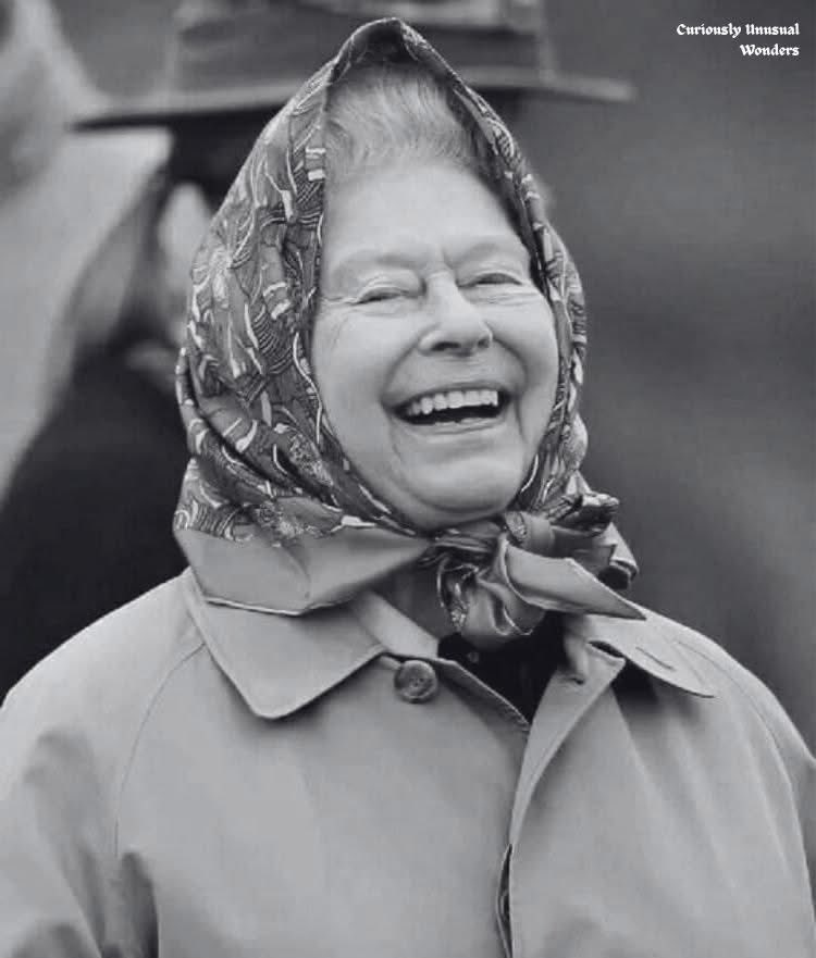 A funny and true story about the Queen:
Around 2005, the Queen and her Personal Protection Officer, Dick Griffin, were walking alone one afternoon in the hills near the Scottish royal castle, Balmoral.
Two tourists approached them, and engaged in conversation. Griffin recalls: