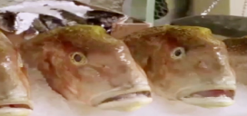 Vengożer tweet media