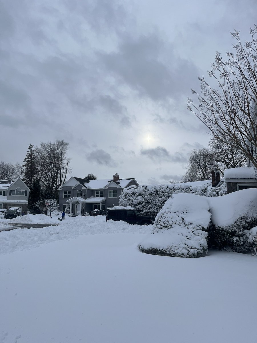 Looper Sauce tweet media