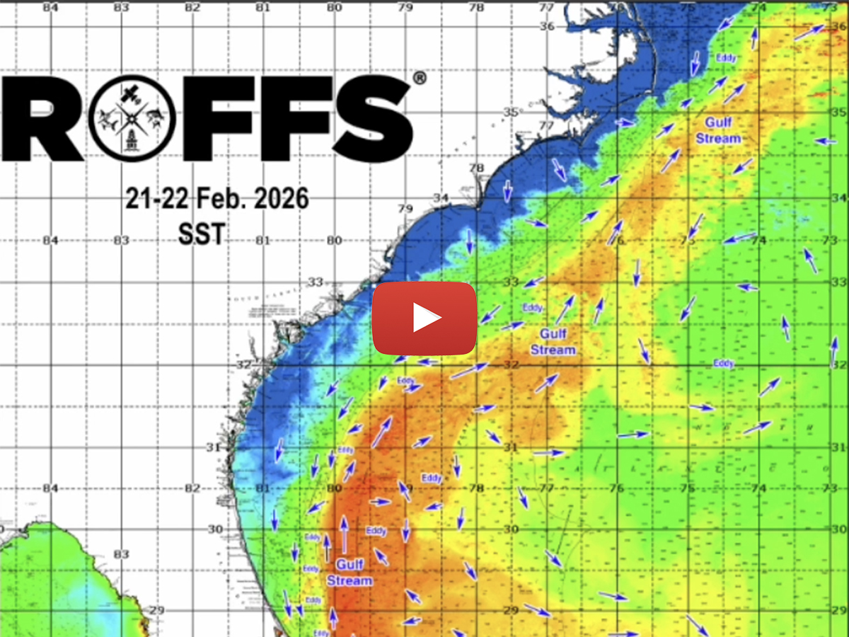 Be sure to check out our YouTube channel for our latest Southeastern U.S. ocean conditions update.

youtube.com/watch?v=VeFQUI…

#ROFFS #ROFFSFishing #oceanconditions #southeasternusoceanconditions #southeasternusfishing #southeasternusupdate