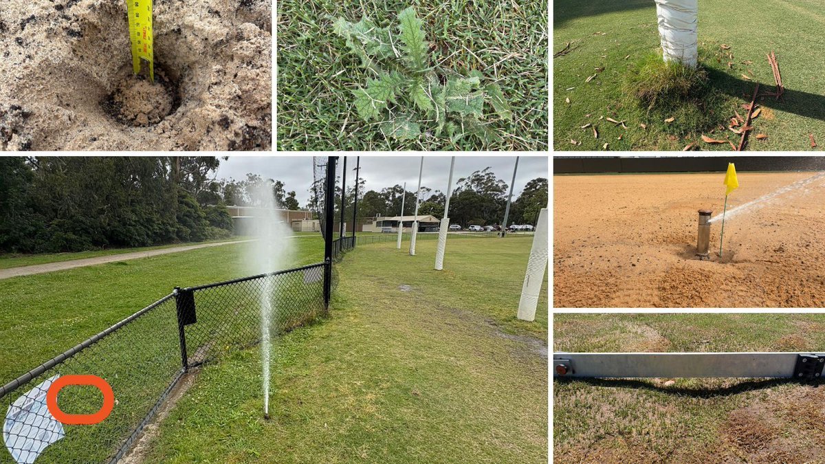 SPORTENG™ tweet media