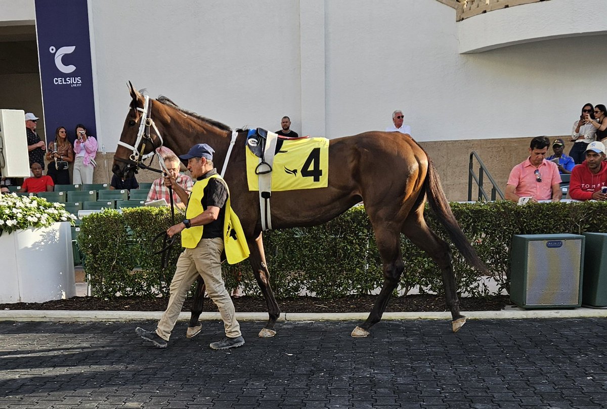 Dan Preiss tweet media