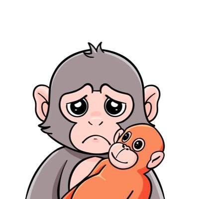 Alpha Owls 🦉 tweet media