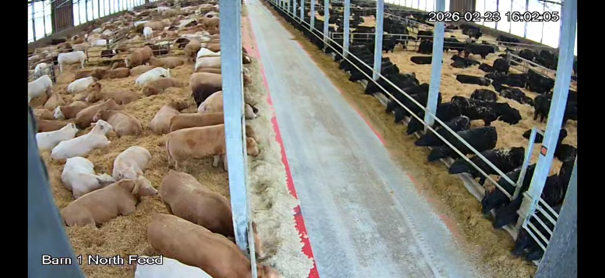 Ken Schaus 🇨🇦 tweet media