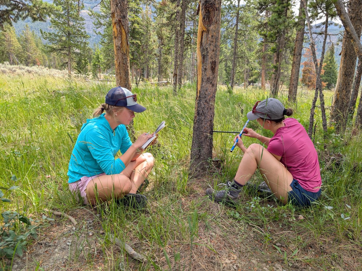 whitmancollege's tweet photo. Whitman students don’t have to wait for graduate school to do meaningful research. 🏔️🔬

In her Whittie Wisdom blog, Geology &amp; Anthropology double major Elly Rectenwald ’26 shares what it’s like to do undergrad research at Whitman. 

https://t.co/ioeHl0QZxT https://t.co/Eki8abFdR1