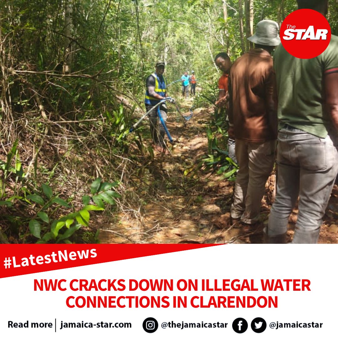 Jamaica Star tweet media