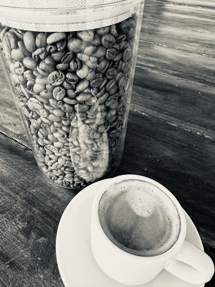 Sofía Calderone tweet media