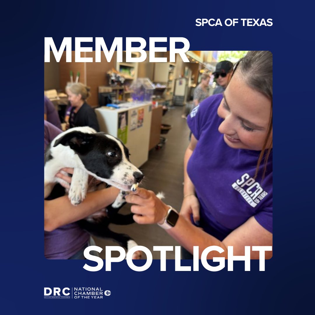 Dallas Regional Chamber tweet media