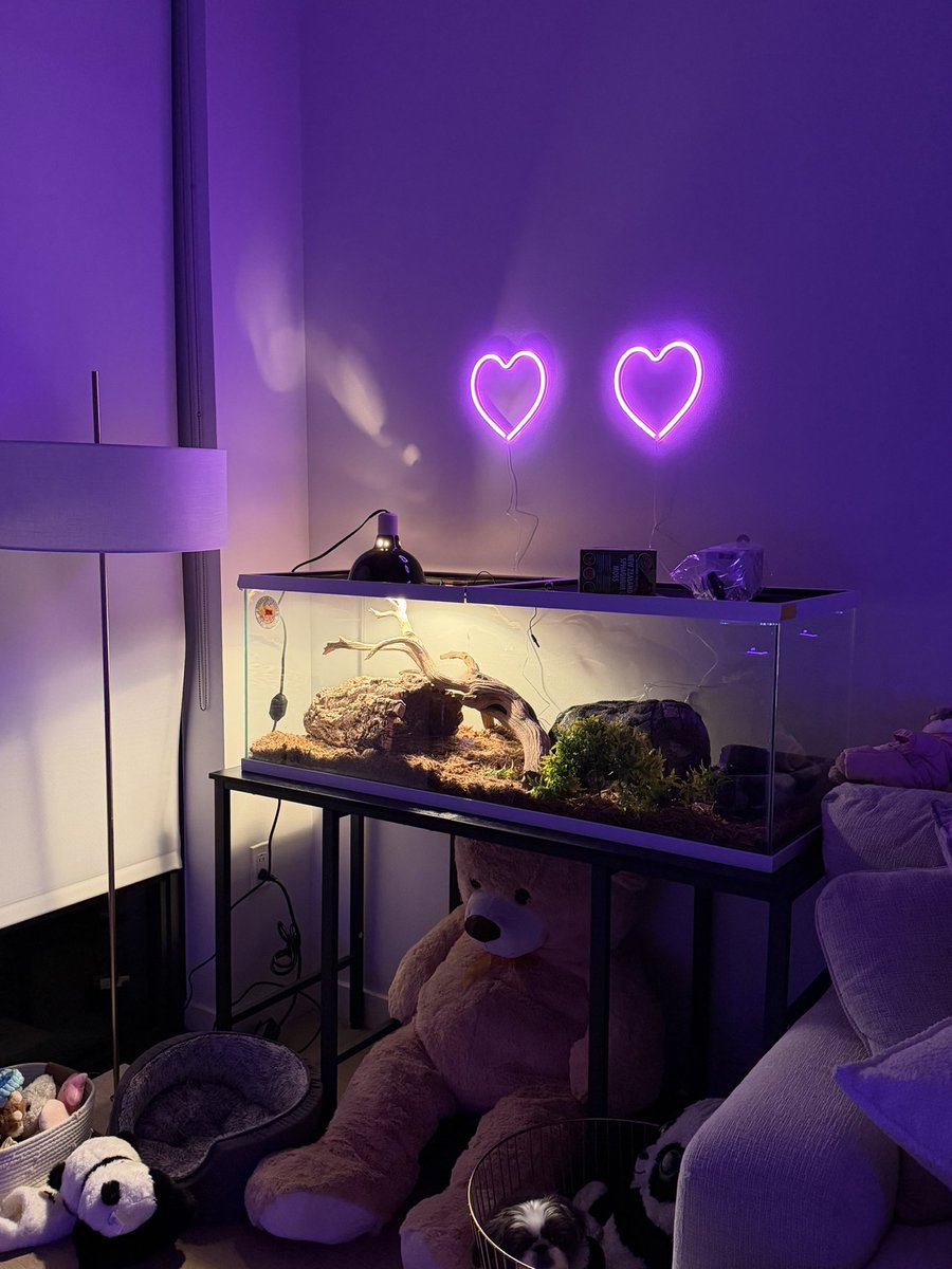 This is the snake enclosure for anyone wondering 👀