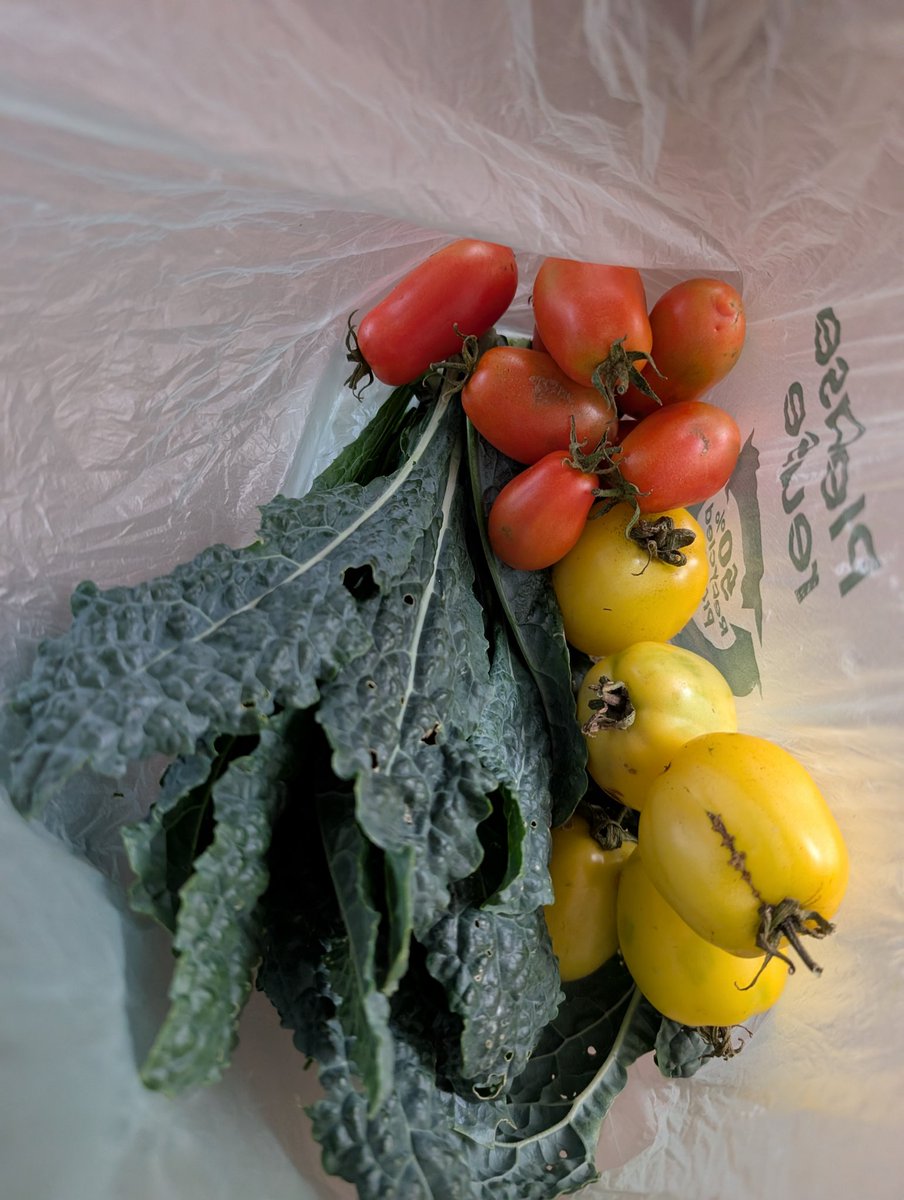 crazythainame's tweet image. Early morning grocery drop off to my number one. Some people say I love you...others show love with food ❤️
Eggs provided by a community member, yum! 
#lovelanguage #cannotgetfresher #pickedtoday