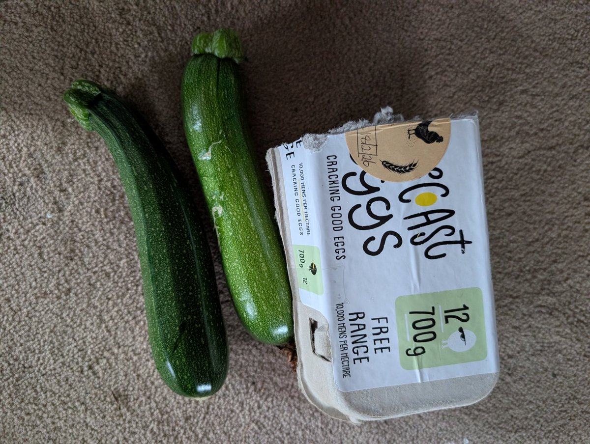 crazythainame's tweet image. Early morning grocery drop off to my number one. Some people say I love you...others show love with food ❤️
Eggs provided by a community member, yum! 
#lovelanguage #cannotgetfresher #pickedtoday