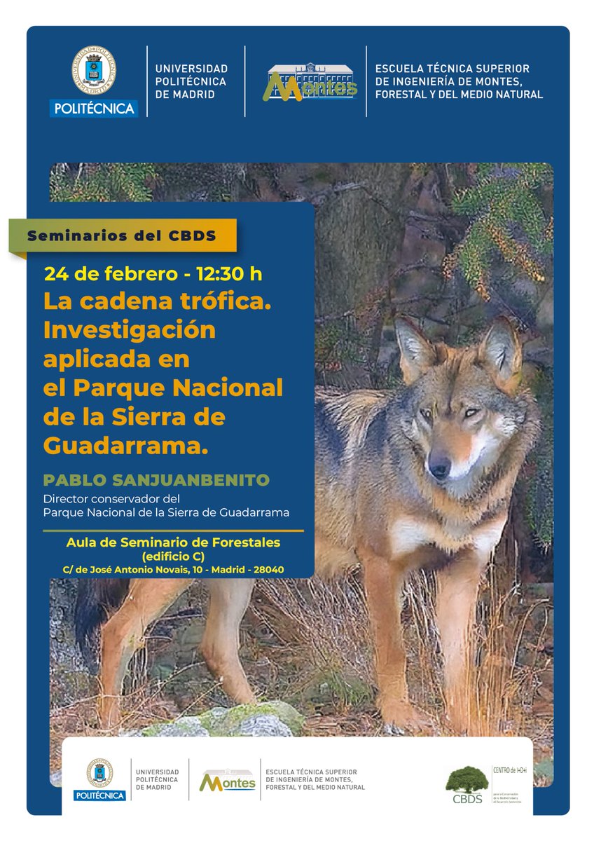 CBDS_UPM's tweet photo. Mañana, martes, nuevo seminario CBDS. Esta vez sobre el lobo y la gestión del PN Sierra de Guadarrama 👇 https://t.co/1nHqBtMb7v