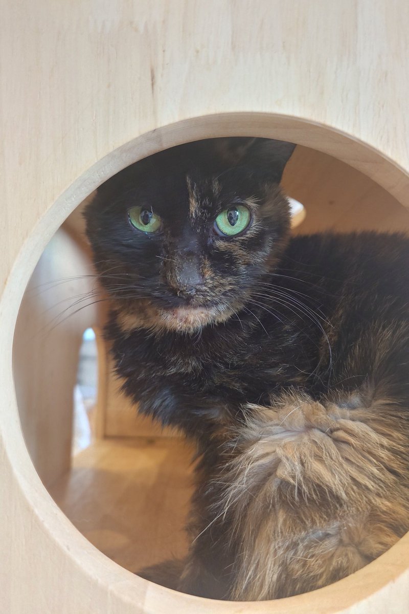 besshotetsuya ヒュー・ジャックマンと同じ身体のサイズ✨️別所さん