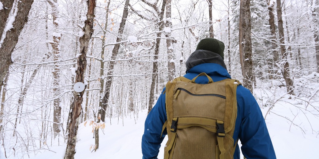 Frontenac Provincial Park tweet media