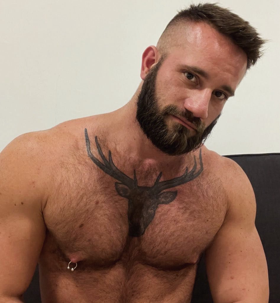TheBeardX tweet media
