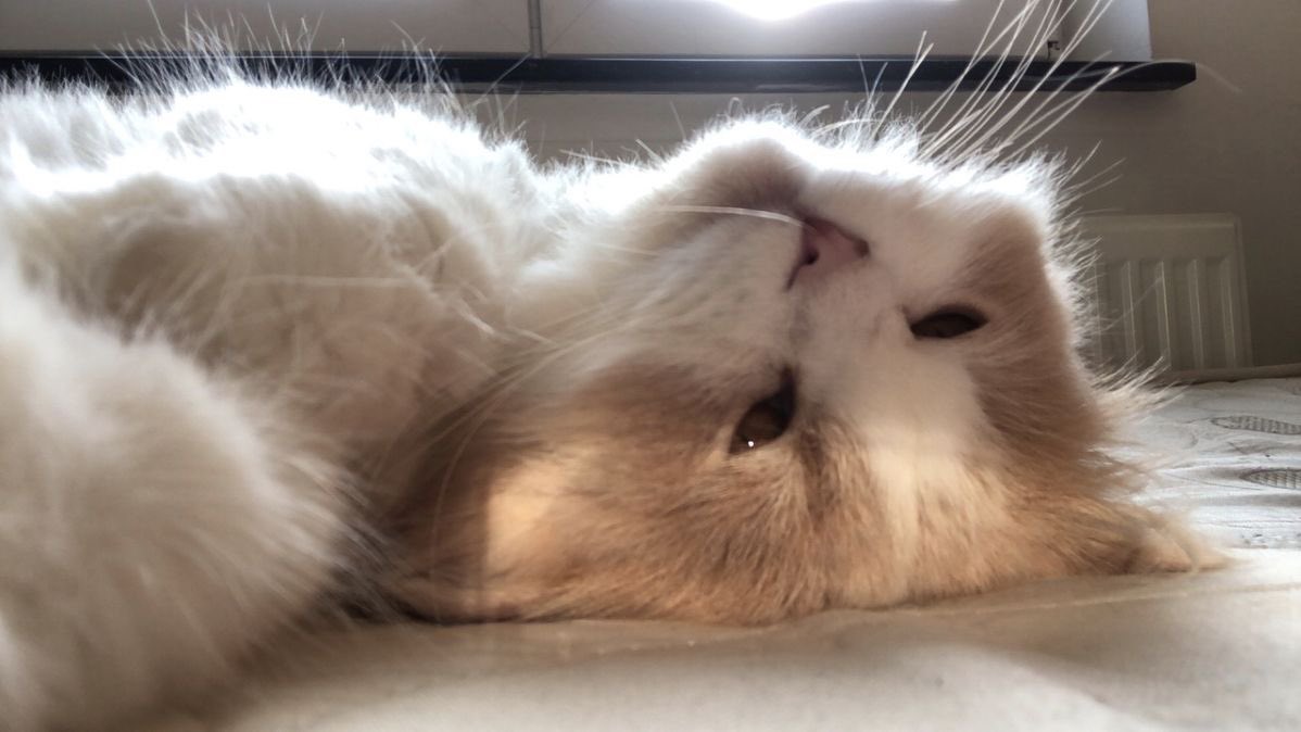 Sahurumuzu yaptık şimdi yatışke🤍