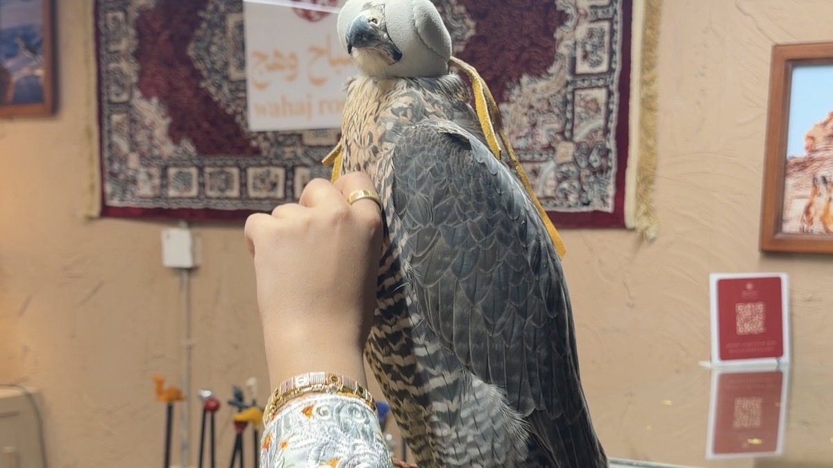 ff86ft's tweet photo. "وإن تهت يا طير بتعوّد على وكرك
ما دمت طيري، وأنا يا طير صقّارك" https://t.co/oGecmhHZkB
