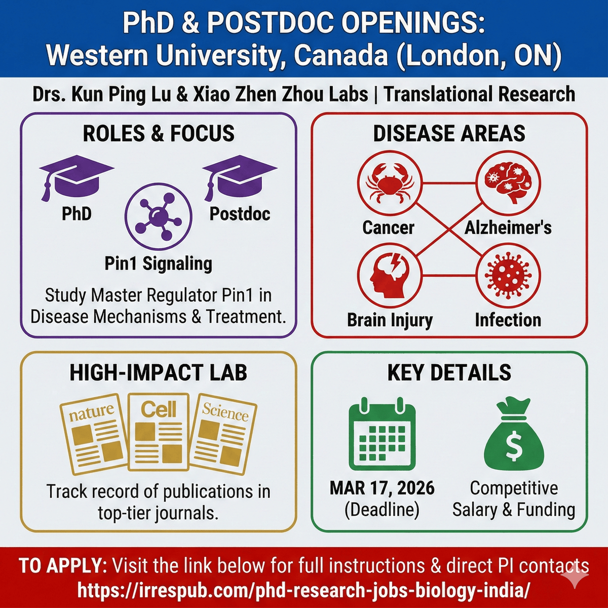 🚨 PhD &amp; Postdoc Openings in Canada! 🇨🇦
Join the high-impact Lu &amp; Zhou Labs at Western University to study🎗️ Cancer 🧠 Alzheimer’s 💥 Brain Injury
🗓️ Deadline: Mar 17, 2026
Full details &amp; PI contacts here:👉 irrespub.com/phd-research-j…

#AcademicTwitter #Postdoc #PhD