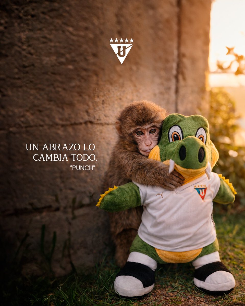 Un abrazo lo cambia todo. 🤍