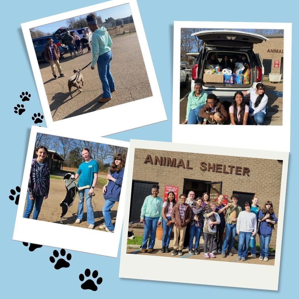 StrayhornHighSchool tweet media