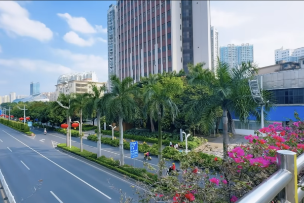 方伟|Allen Zeng tweet media