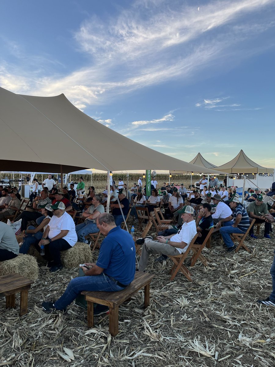 Nahuel Reussi Calvo tweet media