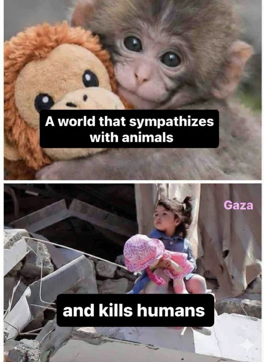 العبدلي⚔️🌴 tweet media