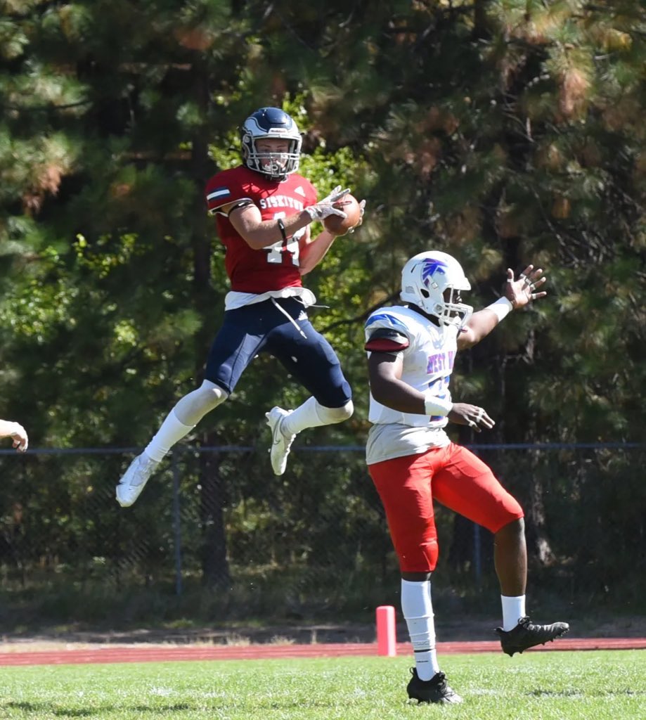 Vaelupemaua Muipu tweet media