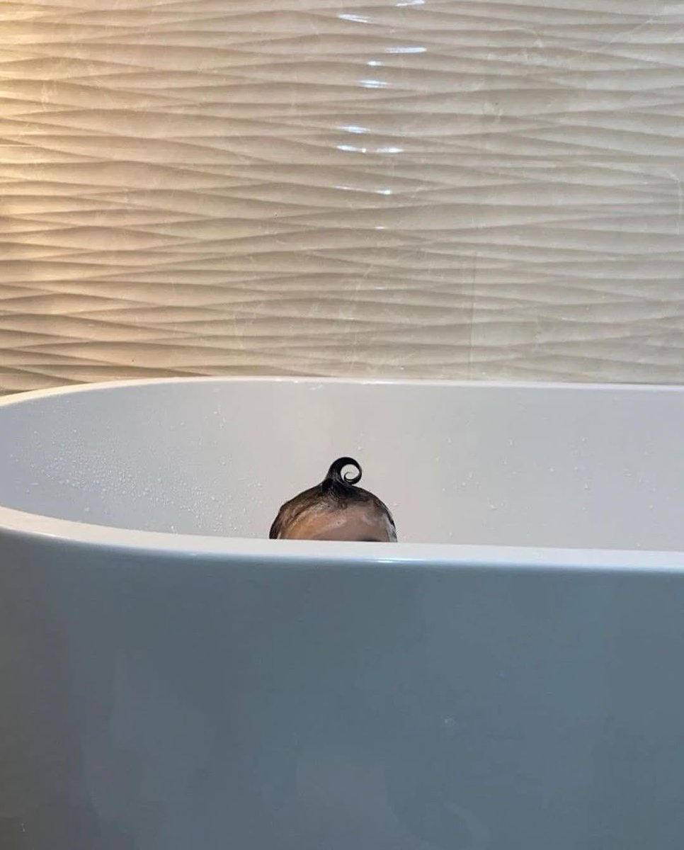 بحر 🌊 tweet media