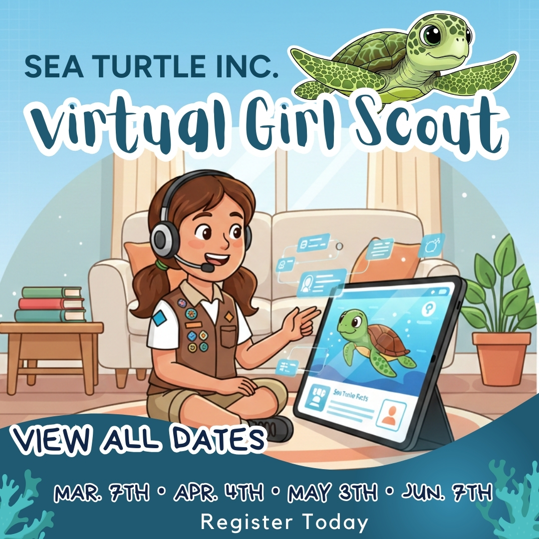 Sea Turtle, Inc. tweet media