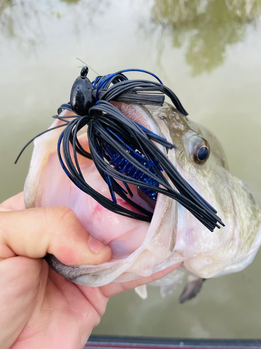 The Mop Jig is legendary for its thick, living rubber skirt that stays flared and moving even at rest. Add a Kamakazi Craw as a trailer, and you have the ultimate big-fish combo. 

#buckeye #bigbitebaits #fishing