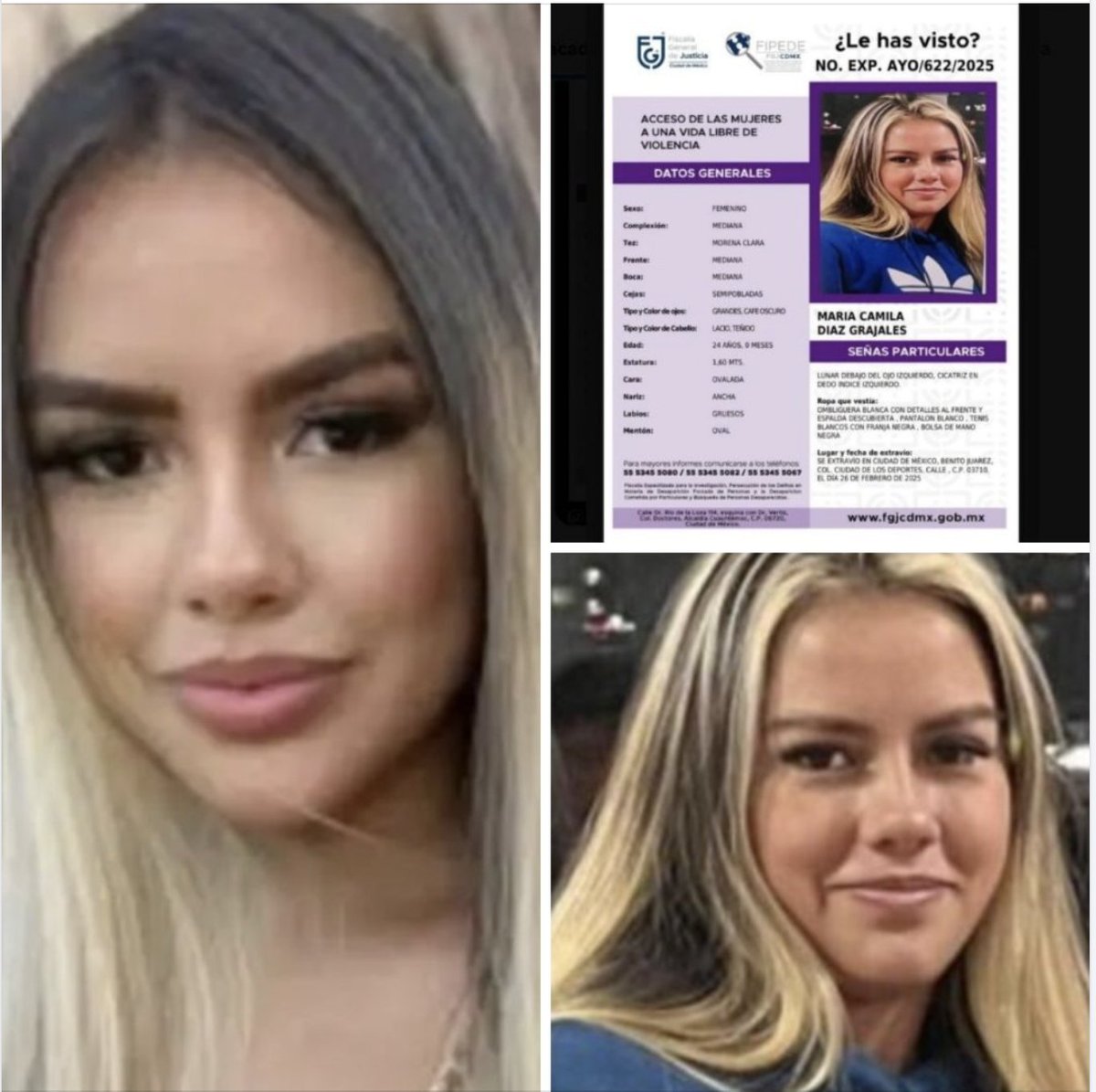 Reporte Mx Noticias tweet media