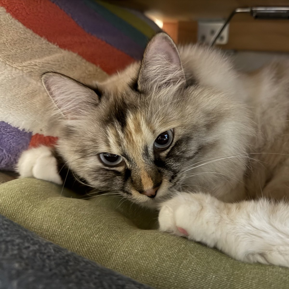 1617日目 昼】 かくれんぼしてるよー