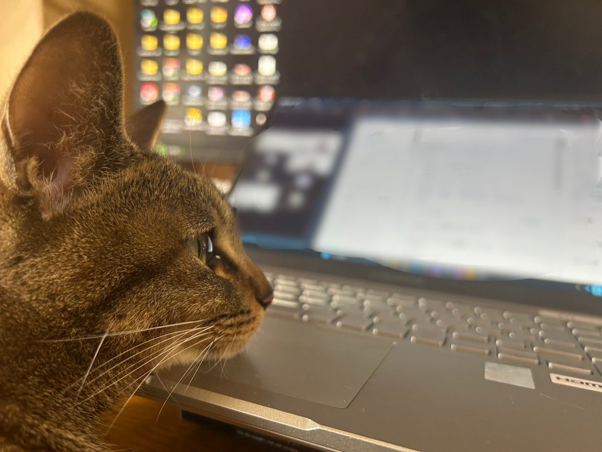 はいぜん@Skeb受付中 tweet media