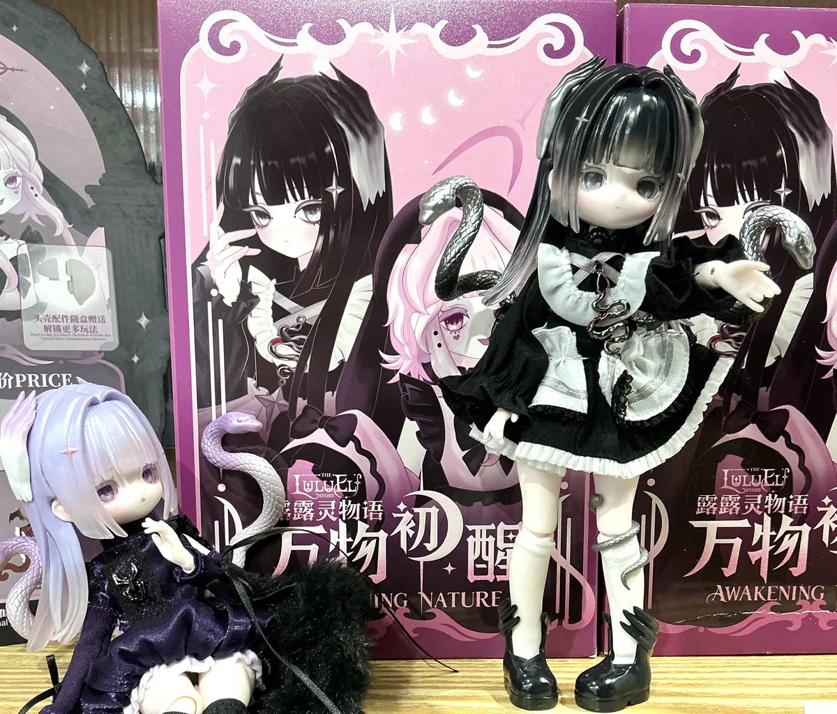 ShellyCoco1号店 おはようございます☀ 本日もShellyCoco1号店オープン