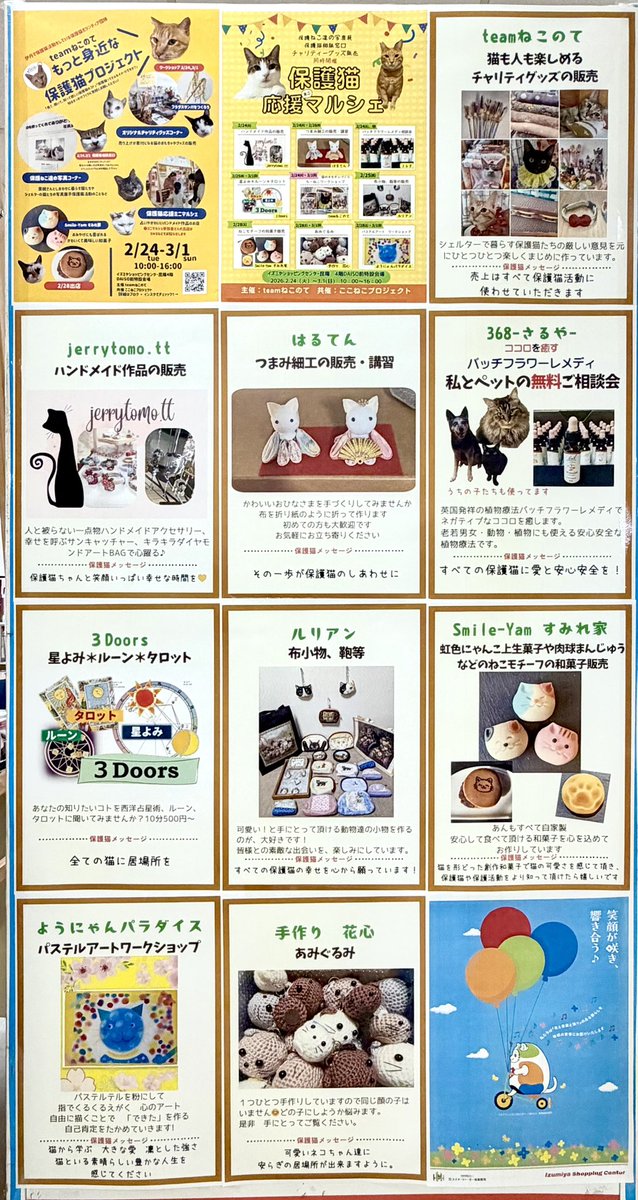 もっと身近な保護猫プロジェクト🐈／ #teamねこのて🐈主催 見て・聞い