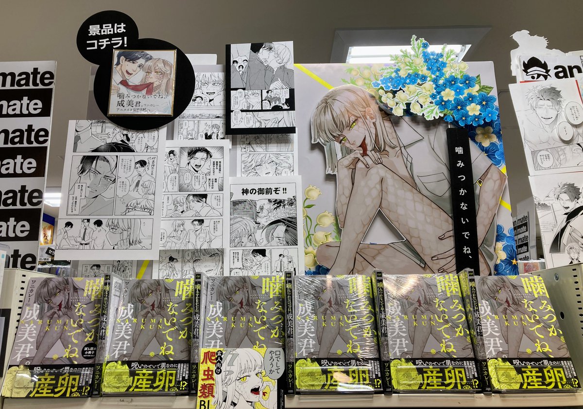 アニメイト新宿@アルバイトスタッフ募集中★ tweet media