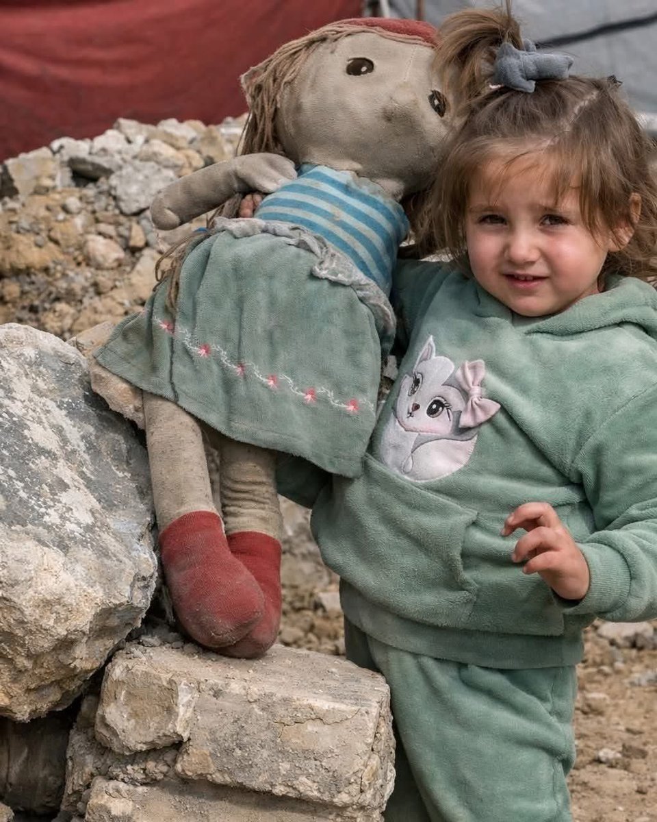 Social media platforms and international news outlets have been buzzing with the story of a small monkey in a nature reserve (or research center). Heartbreaking photos and videos of the infant clinging to a cloth doll (a stuffed bear) after losing its mother have gone viral.