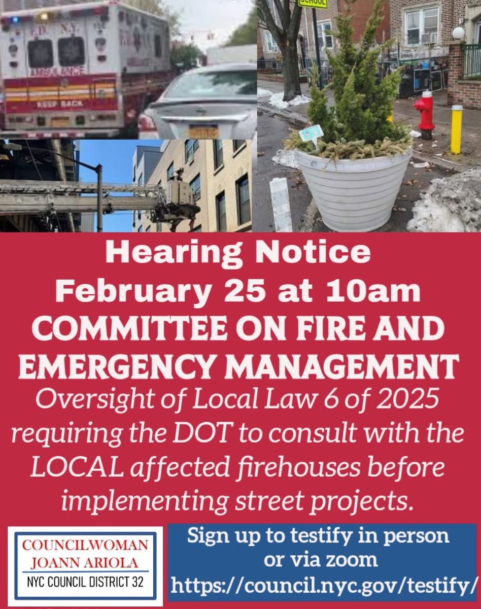 Joann Ariola NYC Council District 32 tweet media