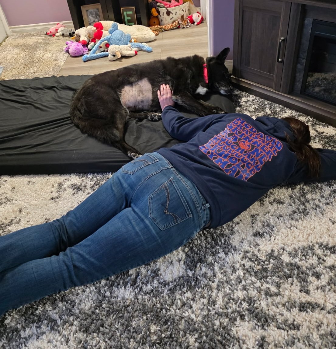 tracyarmstrong tweet media