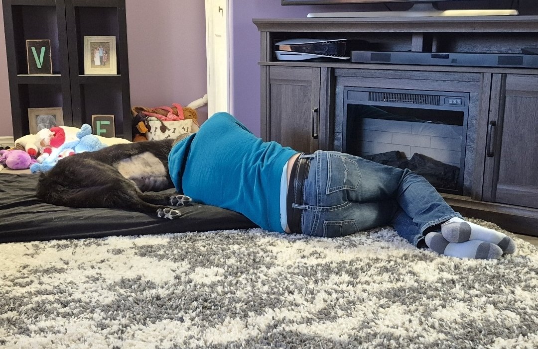 tracyarmstrong tweet media