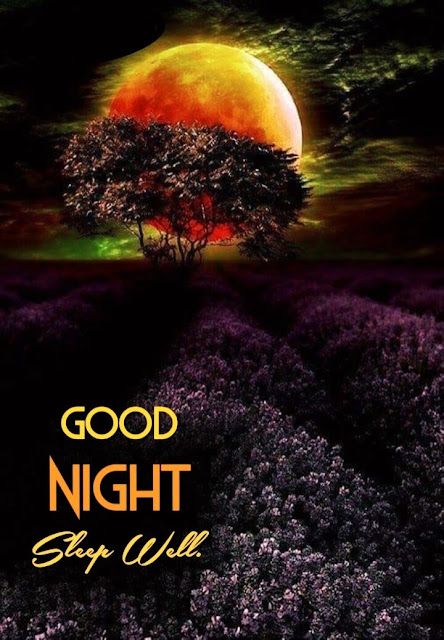 G N my friends <a href="/jonathansfrakes/">Jonathan Frakes</a> <a href="/LisaCollins9/">LisaCollins9</a> <a href="/LaurieMit/">Laurie M.</a> <a href="/Mindlessrobot37/">Judy</a> <a href="/MirrorCrow/">JEM</a> <a href="/donnacox1021/">Donna Cox</a> <a href="/imcorinnemec/">Corin Nemec</a> <a href="/LouDPhillips/">Lou Diamond Phillips</a> <a href="/YMPhillips/">Yvonne Phillips</a> <a href="/SueFreitas6/">Sue Freitas</a> <a href="/RhondaHendee/">Gizmo & Rhonda #ZSHQ</a> <a href="/OmarGoshTV/">OmarGoshTV</a> <a href="/IrisRanieri/">Iris</a> <a href="/maryhare0/">Mary Hare</a> @MoeSargi <a href="/CatWome96887351/">Cat Woman</a> <a href="/RoderickRat/">TTAFan83</a> <a href="/NBVitriolic/">A Vitriolic Parent</a>