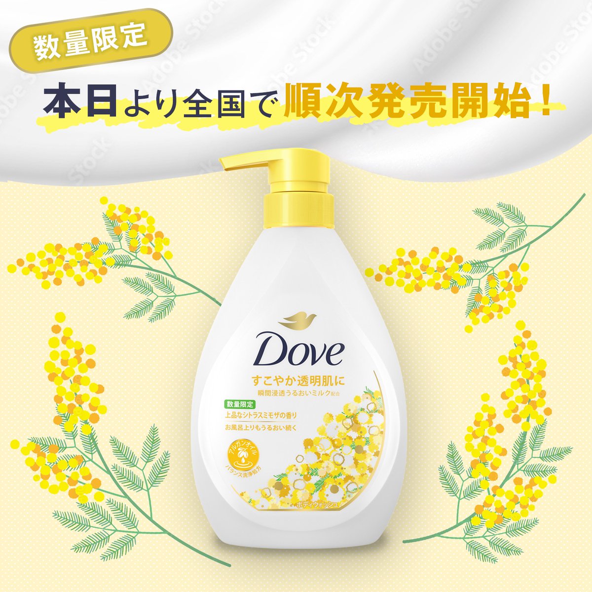 本日発売・数量限定ミモザデザイン／ ダヴ ボディウォッシュ ミモザが