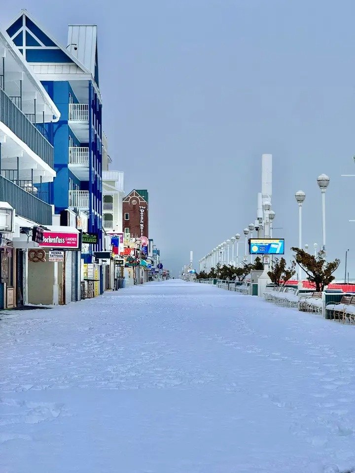 🎠 All Things OC 🎠 tweet media